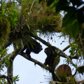 P1000290.JPG